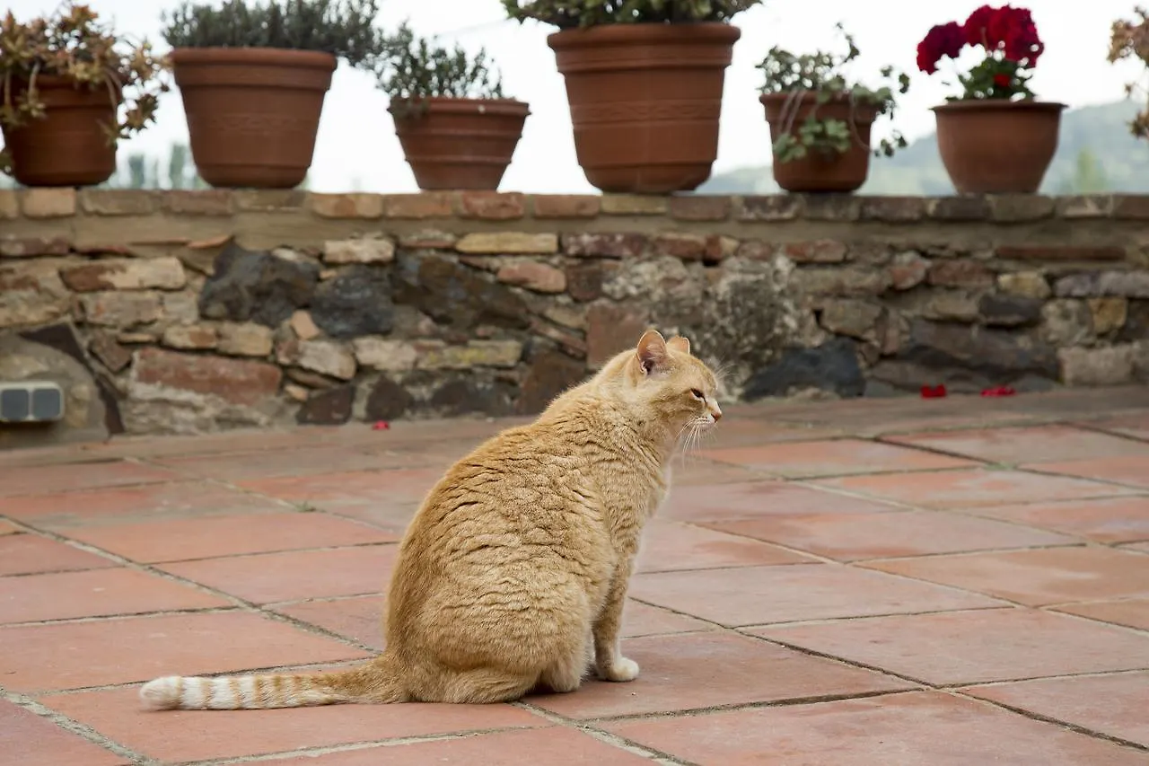 Mas Tomas Guest House Vall-Llobrega