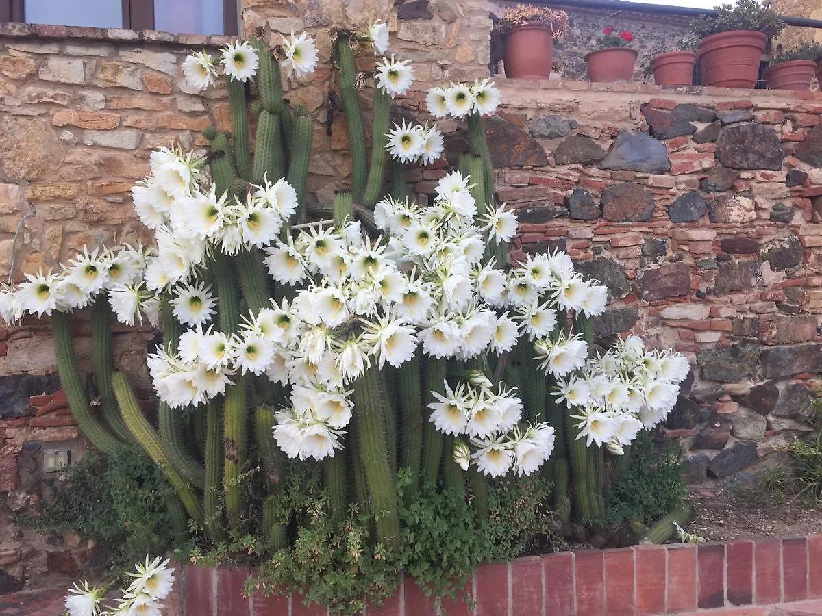 Country house Mas Tomas Guest House Vall-Llobrega Spain